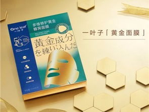 一葉子面膜代理政策、產(chǎn)品價(jià)格及重慶市場(chǎng)廣告策略全解析